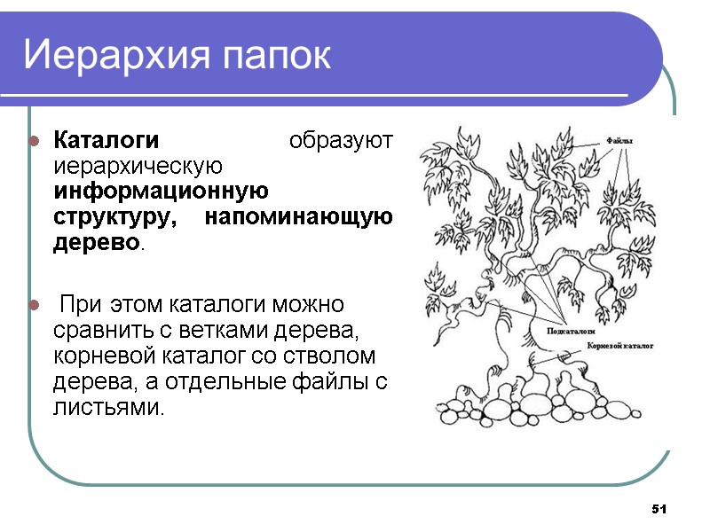 51 Иерархия папок  Каталоги образуют иерархическую информационную структуру, напоминающую дерево.   При